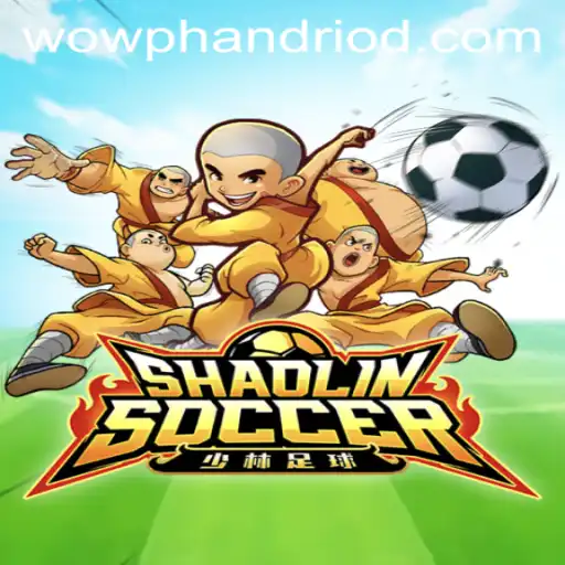 Shaolin Soccer Game Description and Details